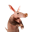Aardvark [OLD] (ARDVRK)