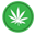 Cannabis Seed Token (CANA)