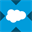 Salesforce xStock (CRMX)