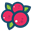 CranberrySwap (CRNBRY)