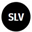 Silver Tokenized Stock Defichain (DSLV)