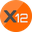 X12 Coin (X12)