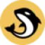 Orca
